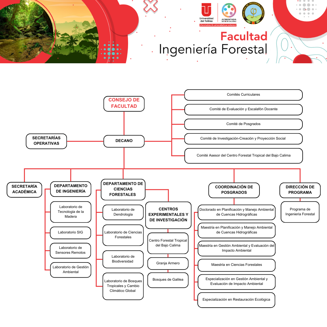 Organigrama consejo de facultadv3